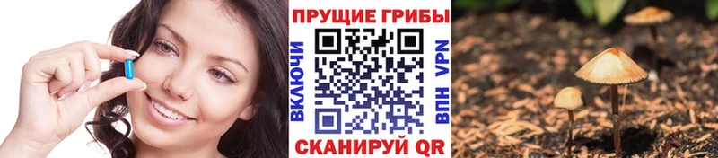 Псилоцибиновые грибы MAGIC MUSHROOMS купить закладку omg вход Клин