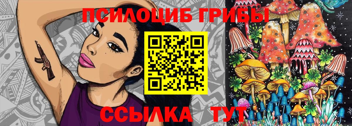 Галлюциногенные грибы Psilocybe Клин