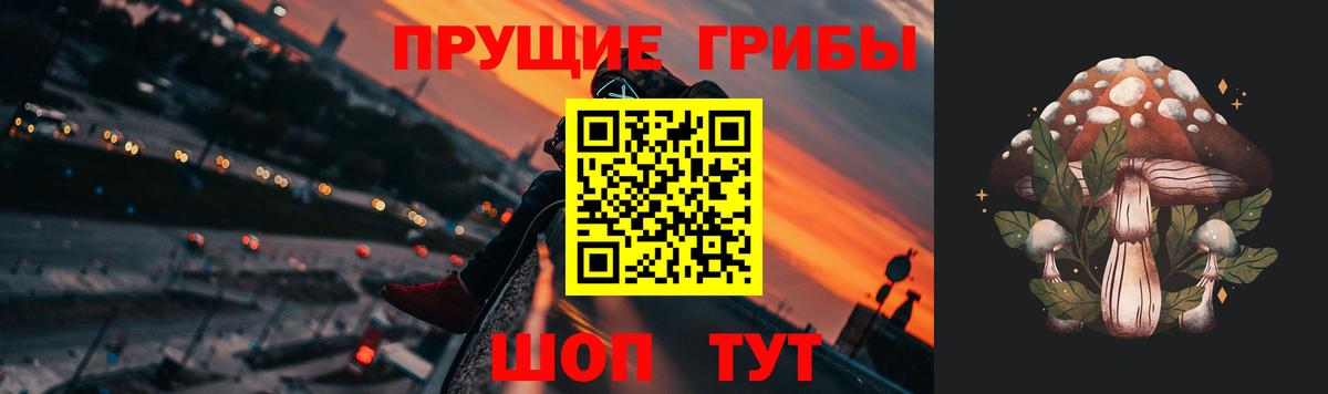 Клин  Псилоцибиновые грибы мицелий  Вход с VPN 